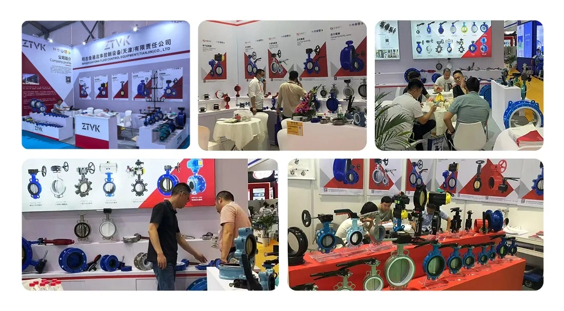 Exhibitions