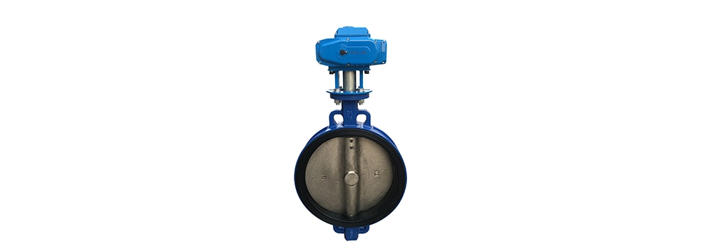 12'butterfly valve