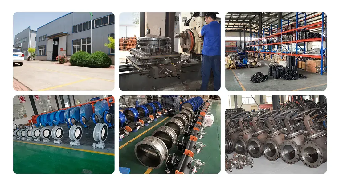 stainless steel spring check valve Factory